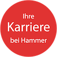 Karriere